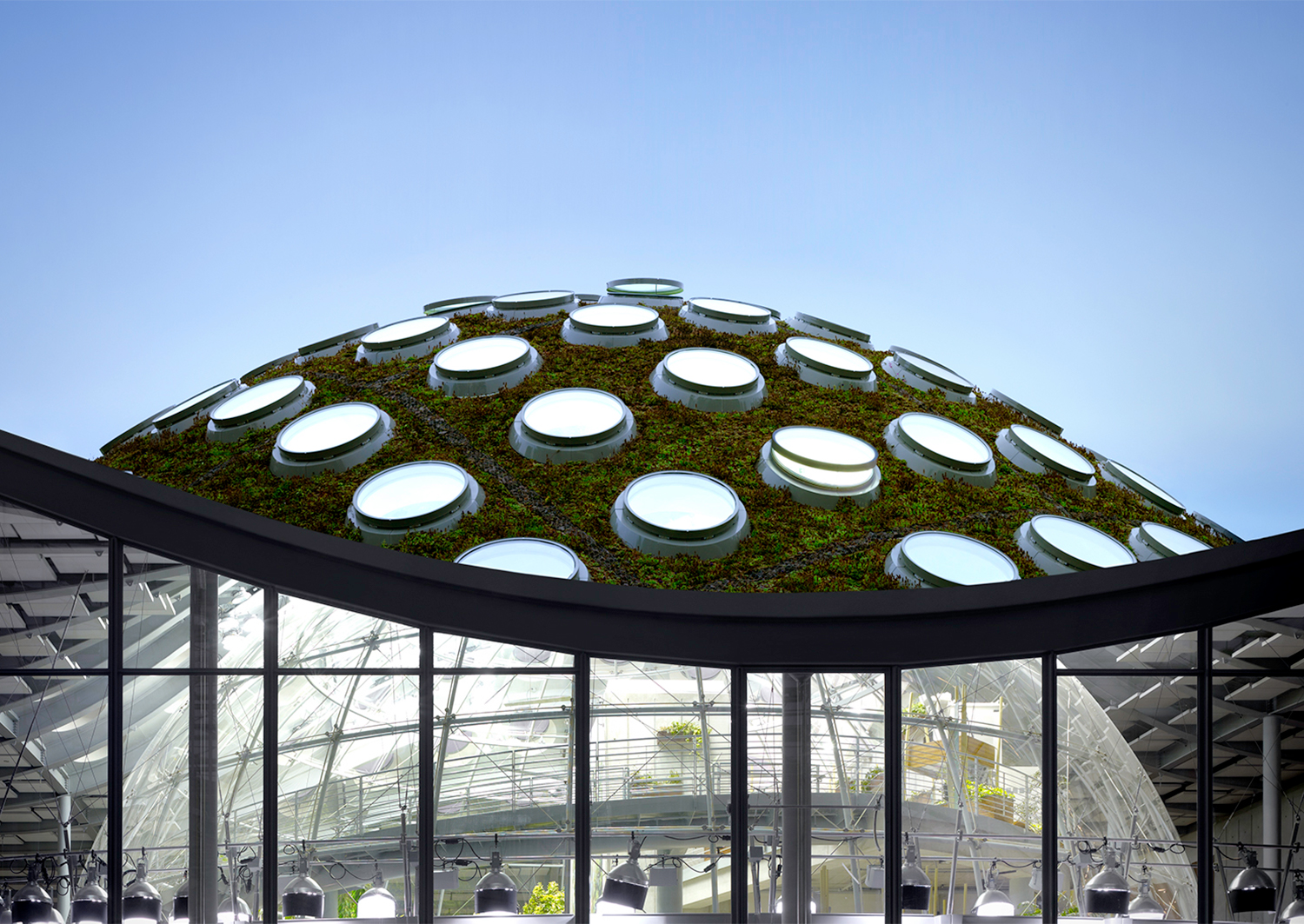 Renzo Piano's biodome architecture showing the distinctive structure